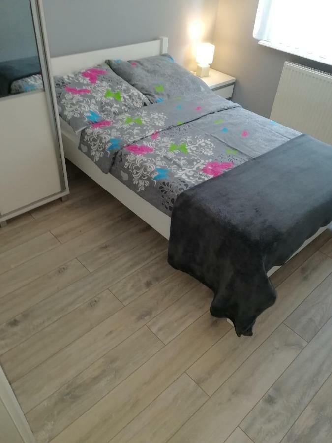 I Biala Hortensja * Ustronie Morskie